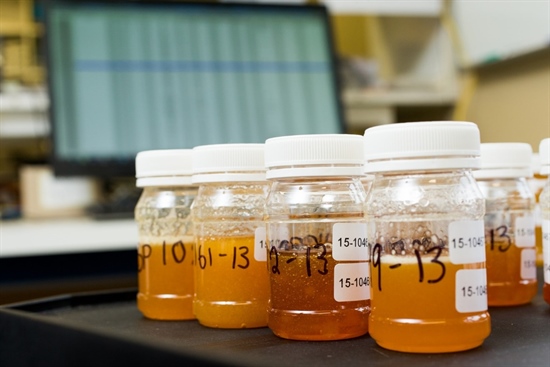 Microbiological Testing Of Honey Explained